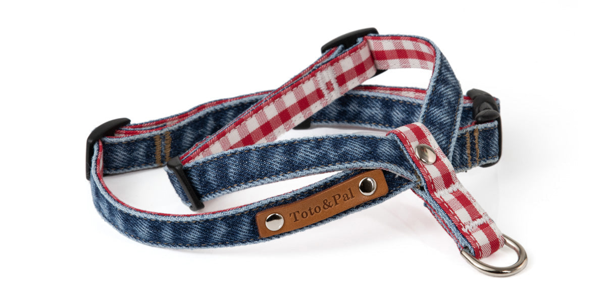 Denim Neck Harness