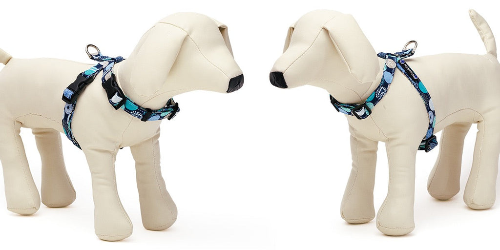 Balloon Dot Neck Harness