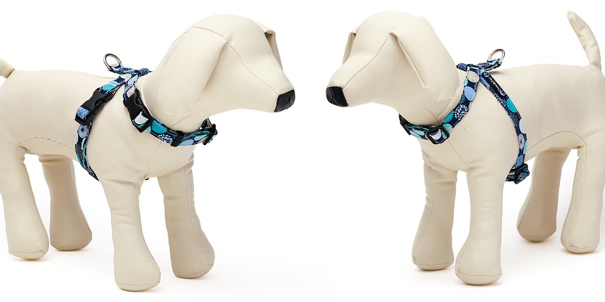 Balloon Dot Neck Harness