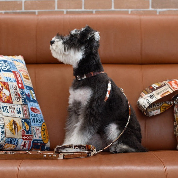 Vintage Neck Harness