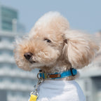 Nylon Bonding Collar