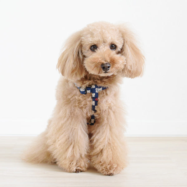 Sushi Step In Harness