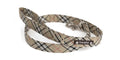 Beige Check Lead