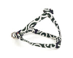 Arabesque Step In Harness