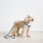 Arabesque Step In Harness