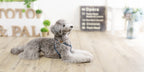 Denim Step in Harness