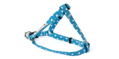 Dots Step in Harness