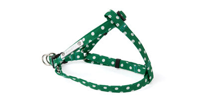 Dots Step in Harness