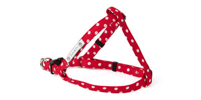 Dots Step in Harness