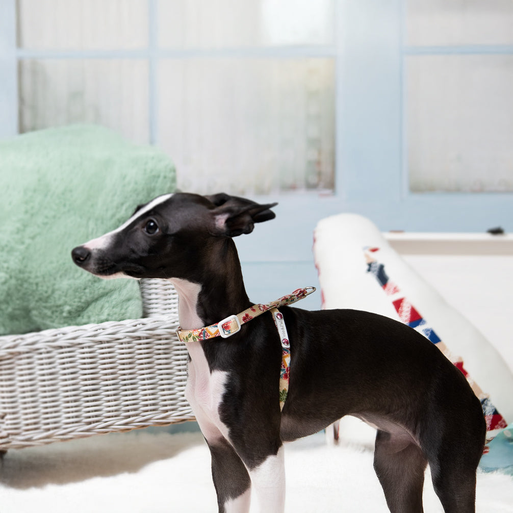 Miyabi Neck Harness