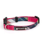 Hi Colour Collar