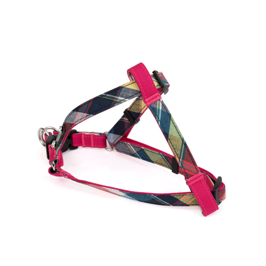 Hi Colour Step in Harness