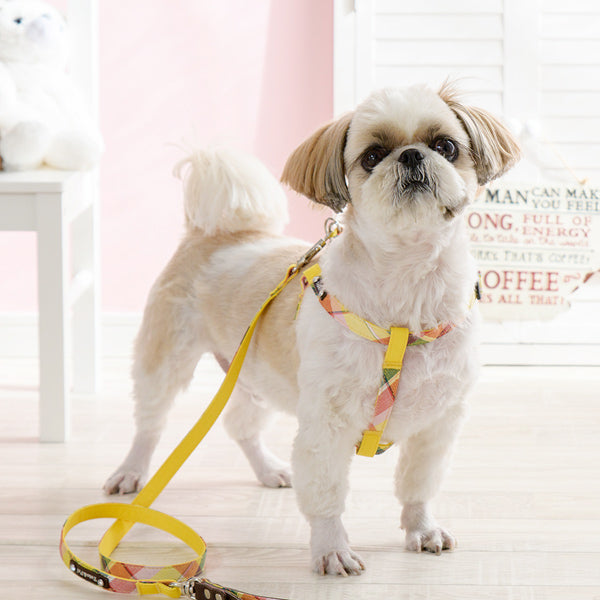 Hi Colour Step in Harness