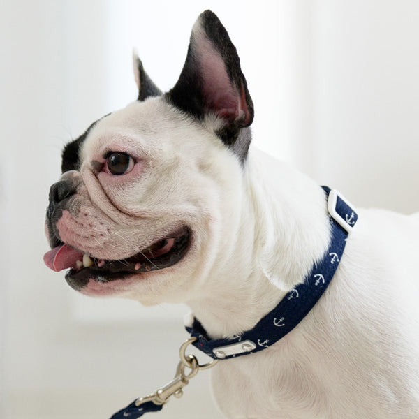 Ripple Marine Collar