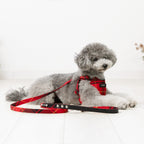 Red Tartan Lead