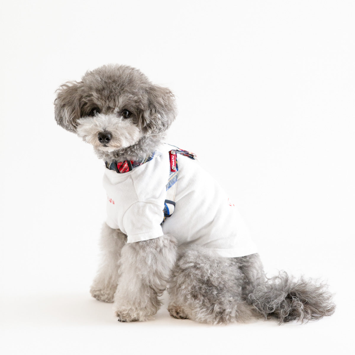 Leti Check Neck Harness