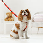 Leti Check Step In Harness
