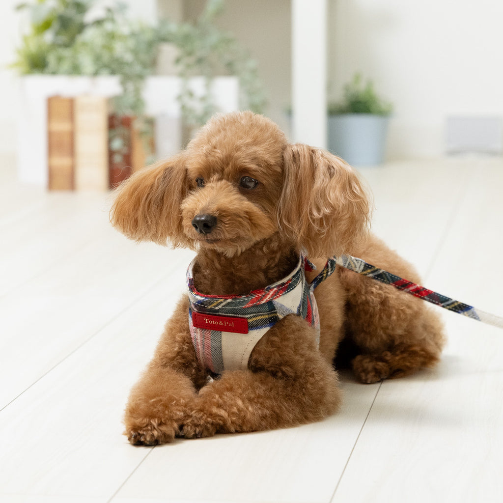 Leti Check Red Body Harness