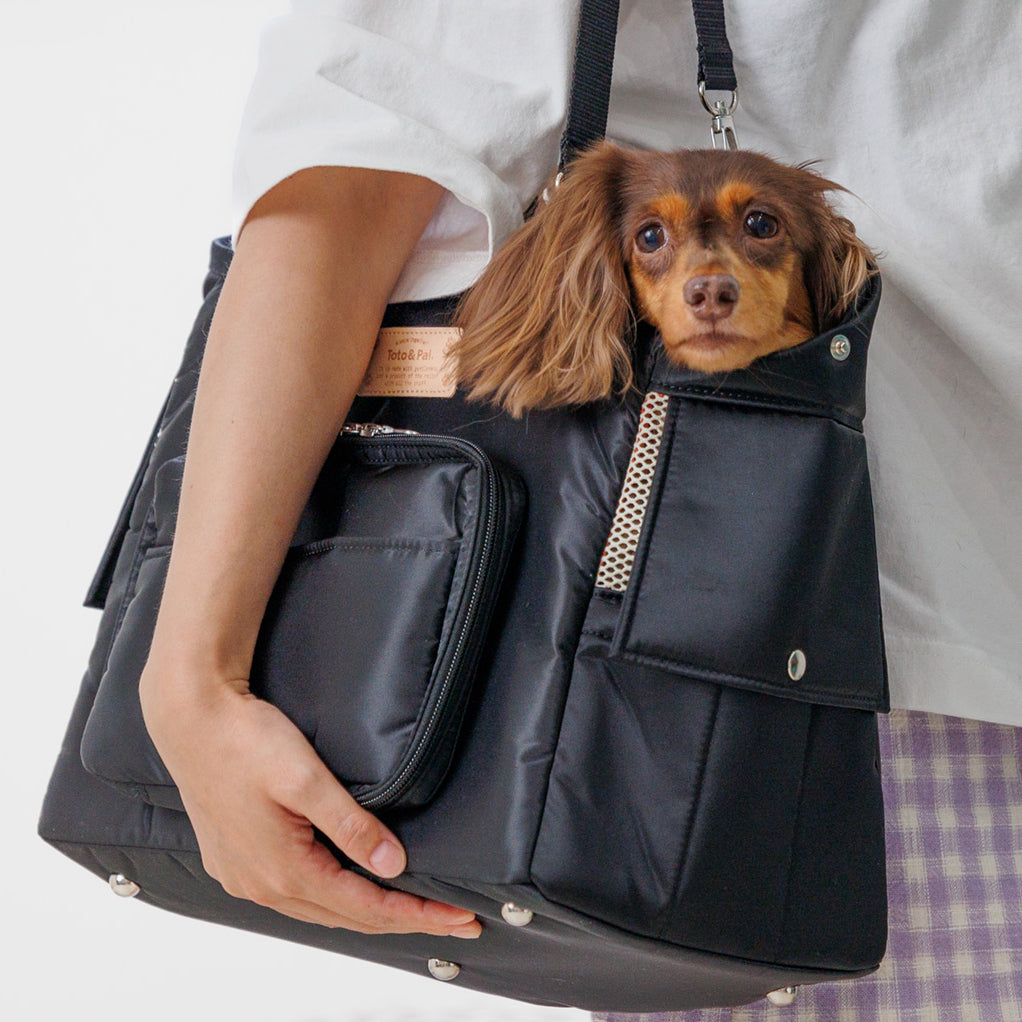 Black Dog Carrier Backpack