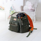 Black Dog Carrier Backpack