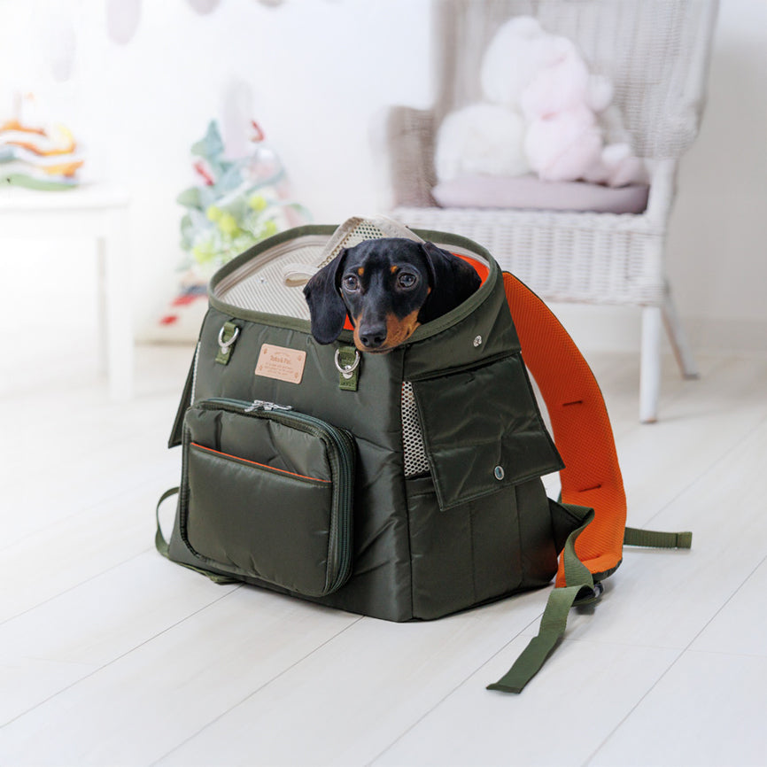 Black Dog Carrier Backpack
