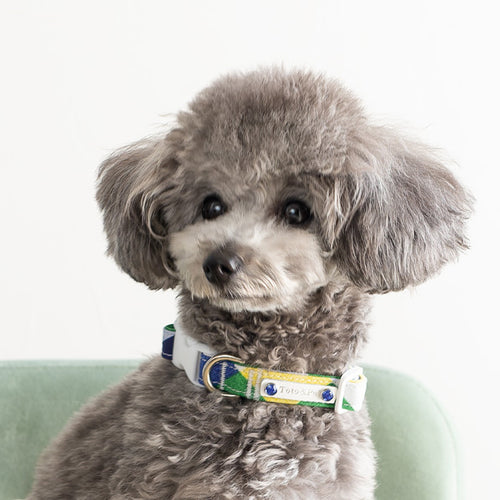 Arcana Check Collar