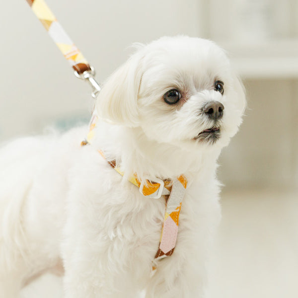 Arcana Step in Harness