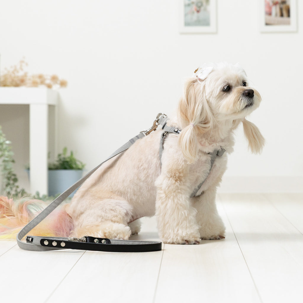 Ivory Soft Lead