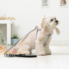 Ivory Soft Lead