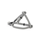Grey Step in Harness