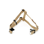 Ivory Step in Harness