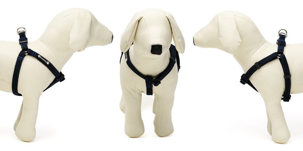 Grey Step in Harness