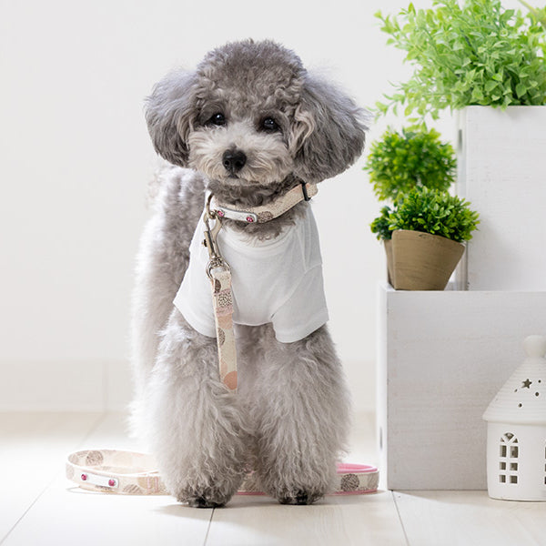 Balloon Dot Collar