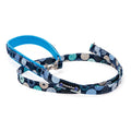 Balloon Dot Lead
