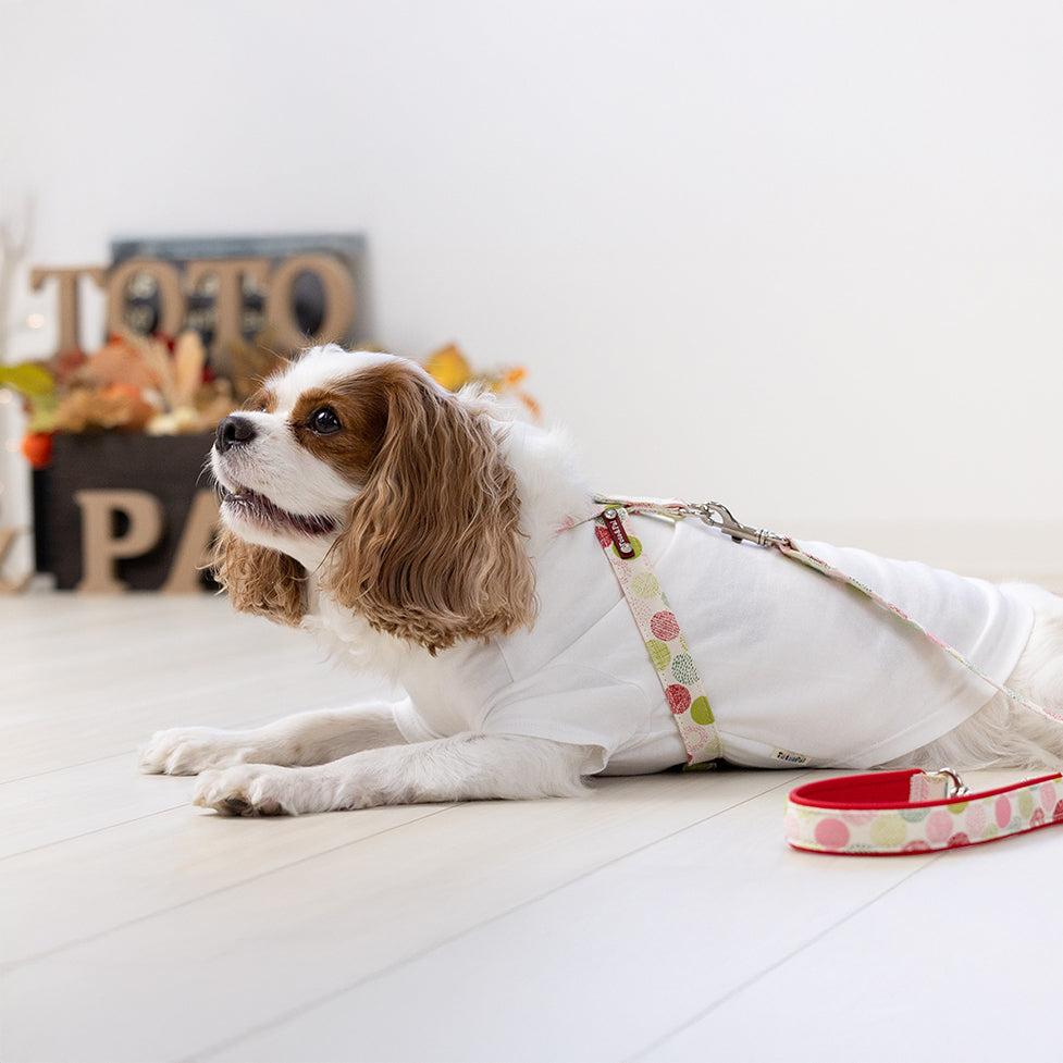Balloon Dot Neck Harness