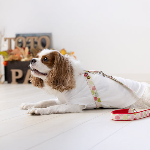 Balloon Dot Neck Harness