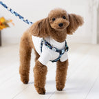 Balloon Dot Step In Harness