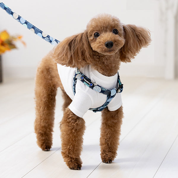 Balloon Dot Step In Harness