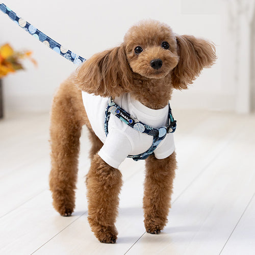 Balloon Dot Step In Harness