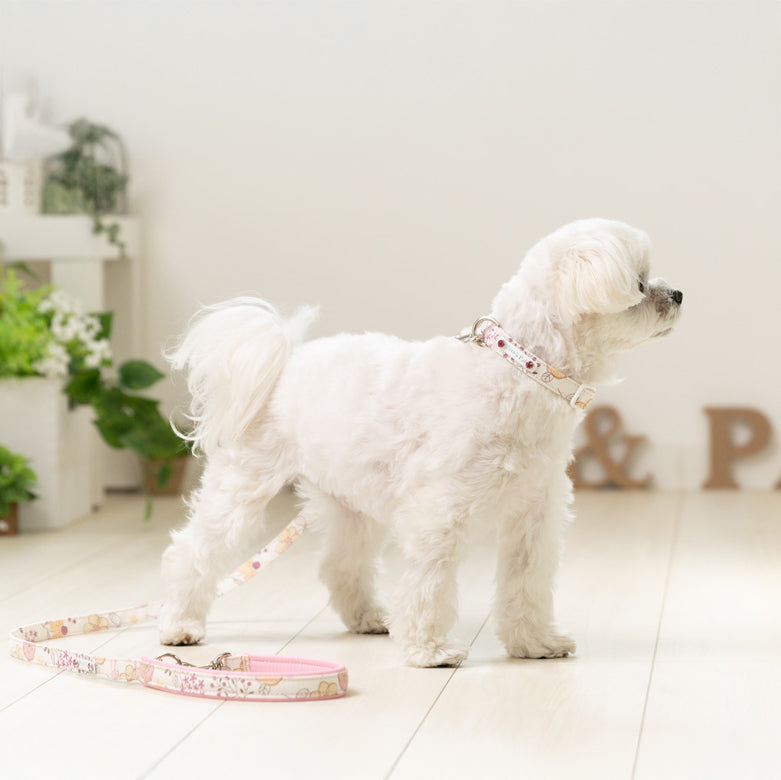 Fleurir Collar