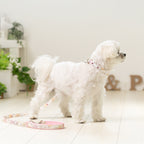 Fleurir Collar