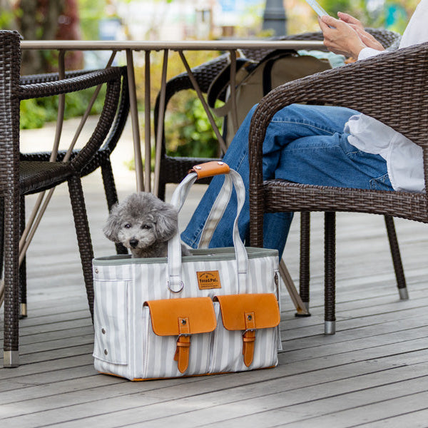 London Stripe Carrier