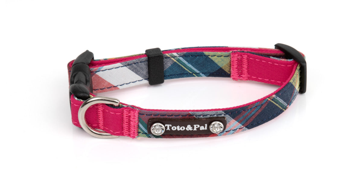 Hi Colour Collar