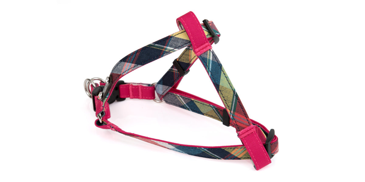 Hi Colour Step in Harness