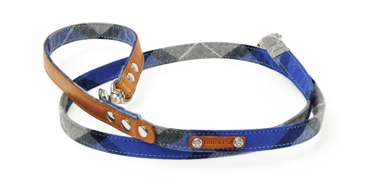 Leti Check Blue Lead