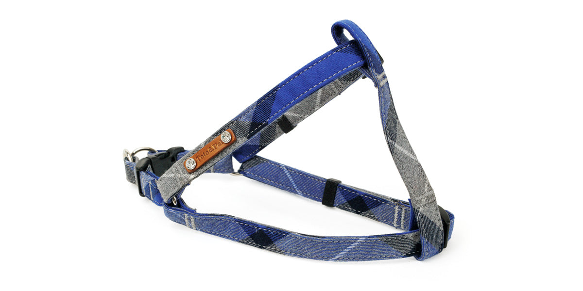 Leti Check Step In Harness