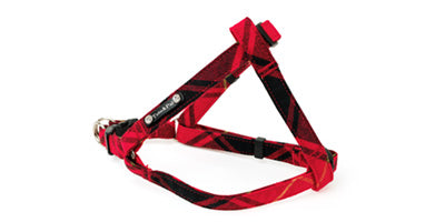 Leti Check Step In Harness