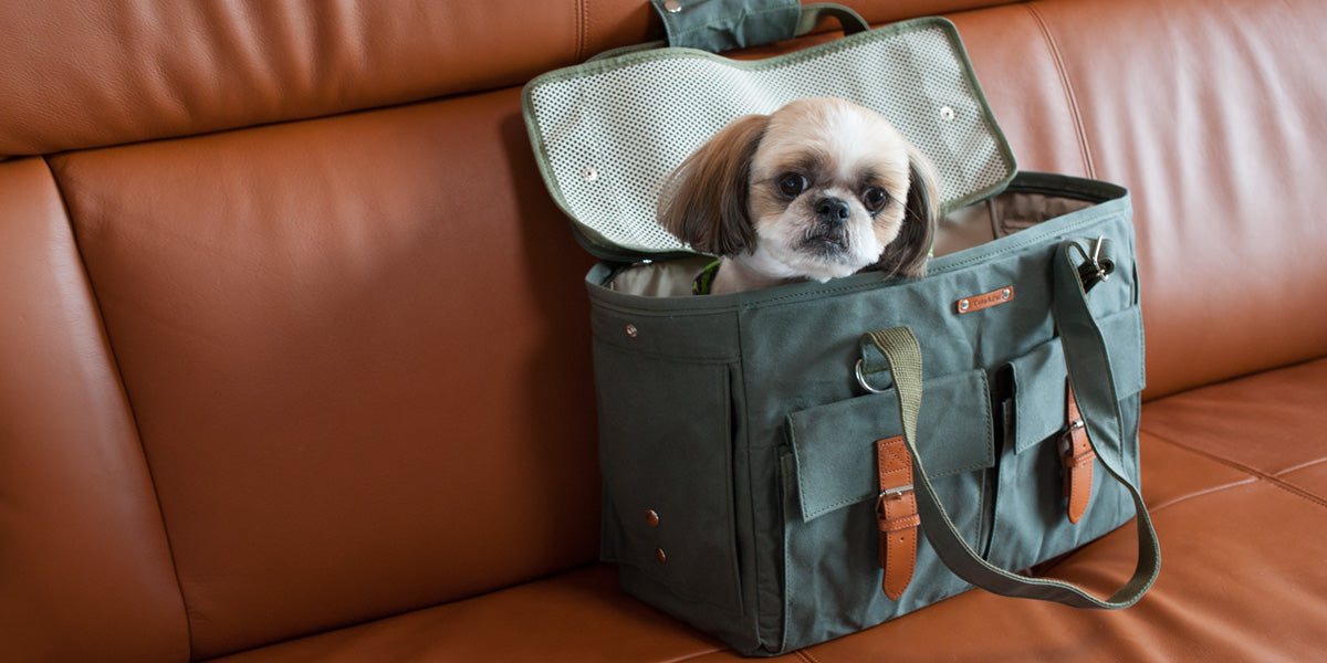 AW Paraffin Dog Carrier