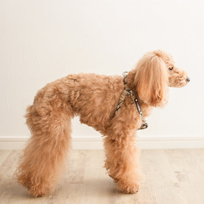 Red Tartan Step In Harness
