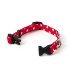 Dots Blue Collar